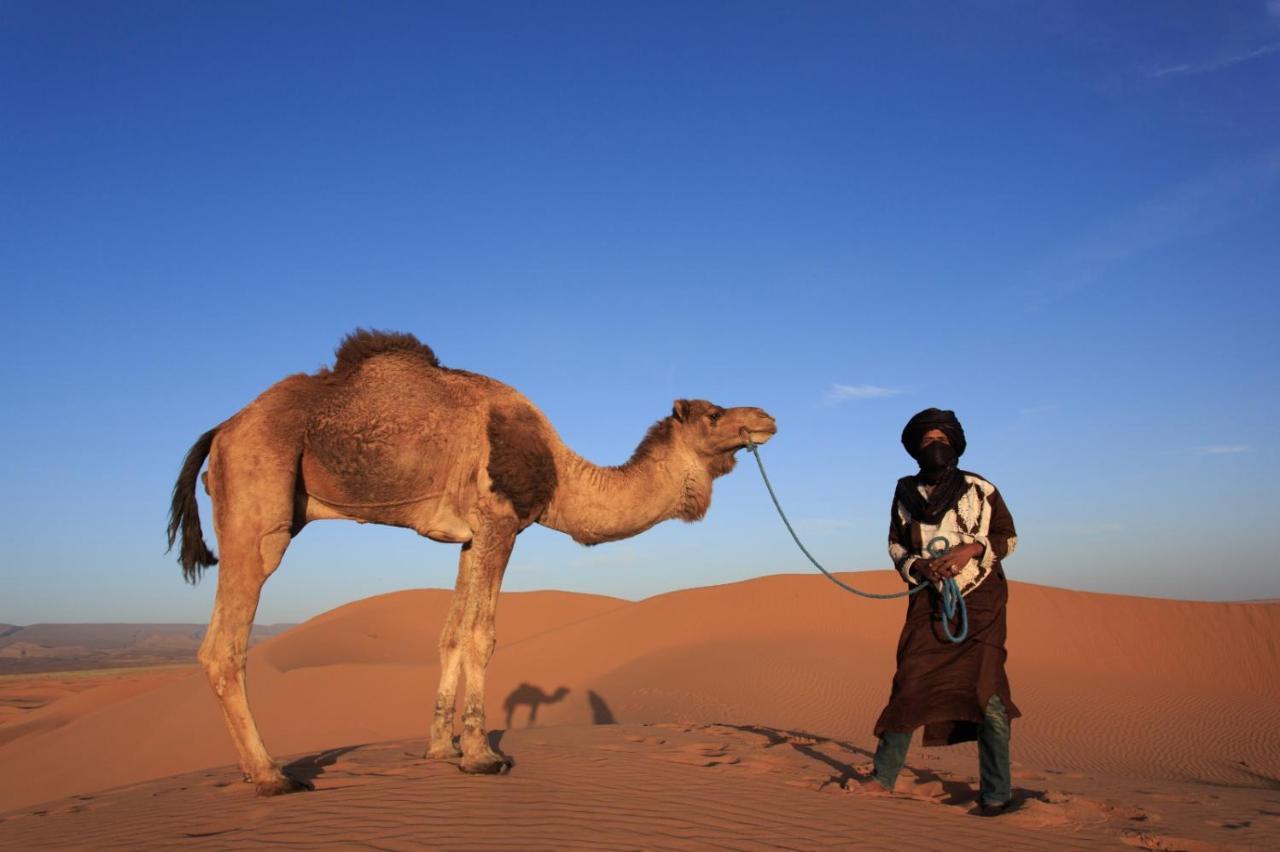 Отель Bivouac Les Nomades & Foum Zguid To Chegaga Tours Экстерьер фото