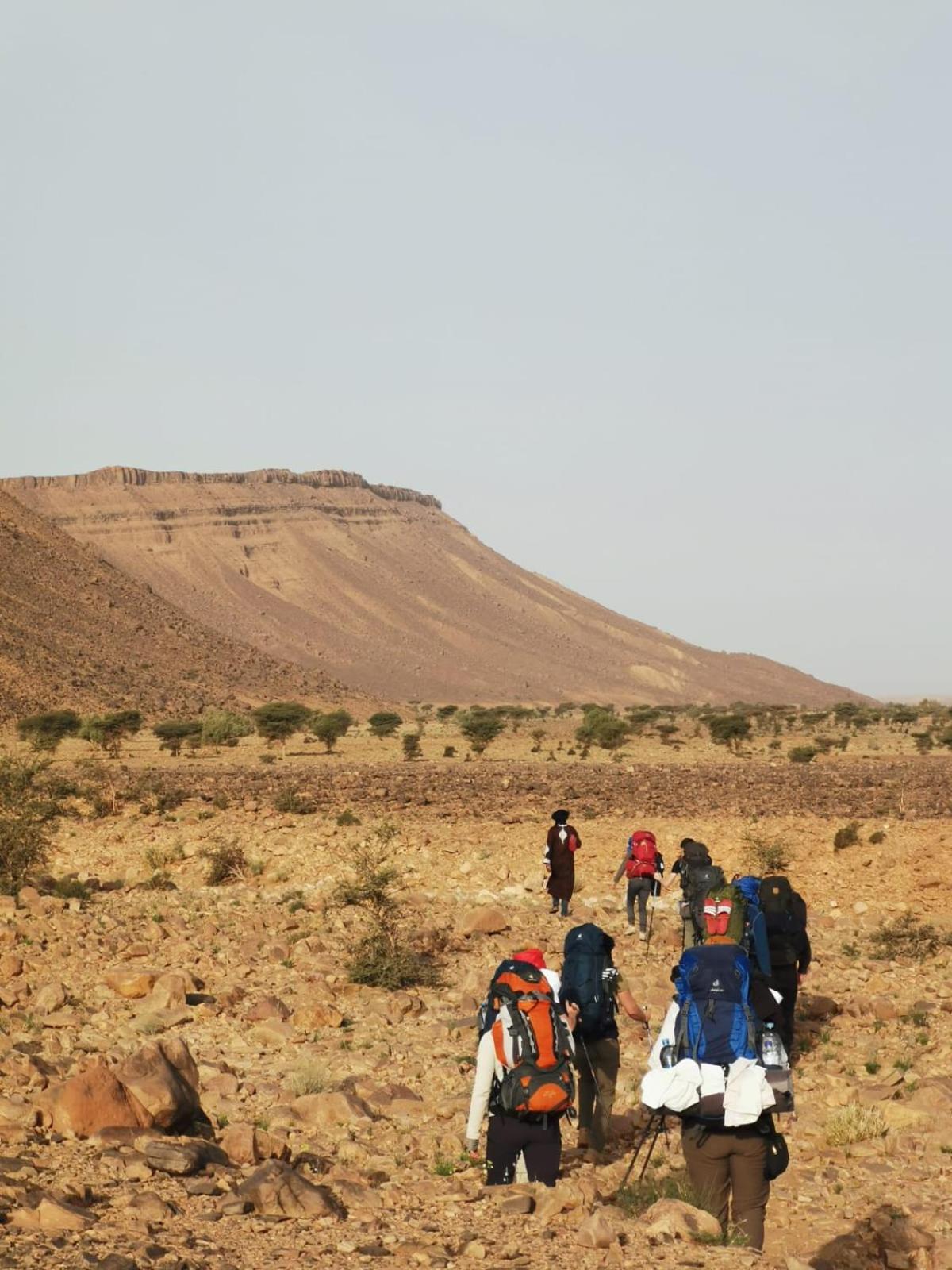 Отель Bivouac Les Nomades & Foum Zguid To Chegaga Tours Экстерьер фото