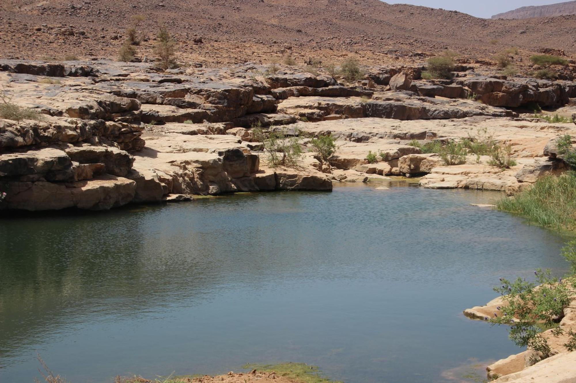 Отель Bivouac Les Nomades & Foum Zguid To Chegaga Tours Экстерьер фото