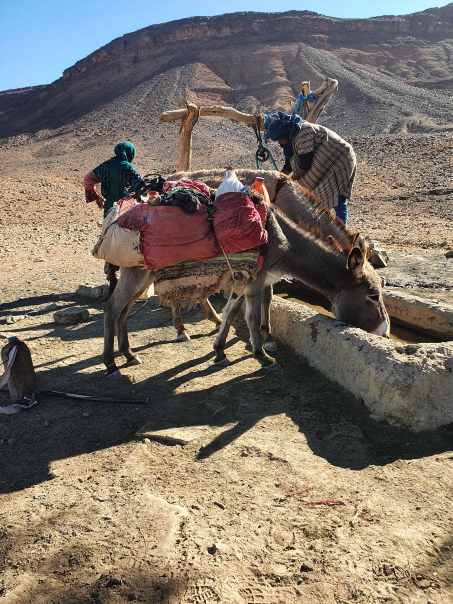 Отель Bivouac Les Nomades & Foum Zguid To Chegaga Tours Экстерьер фото
