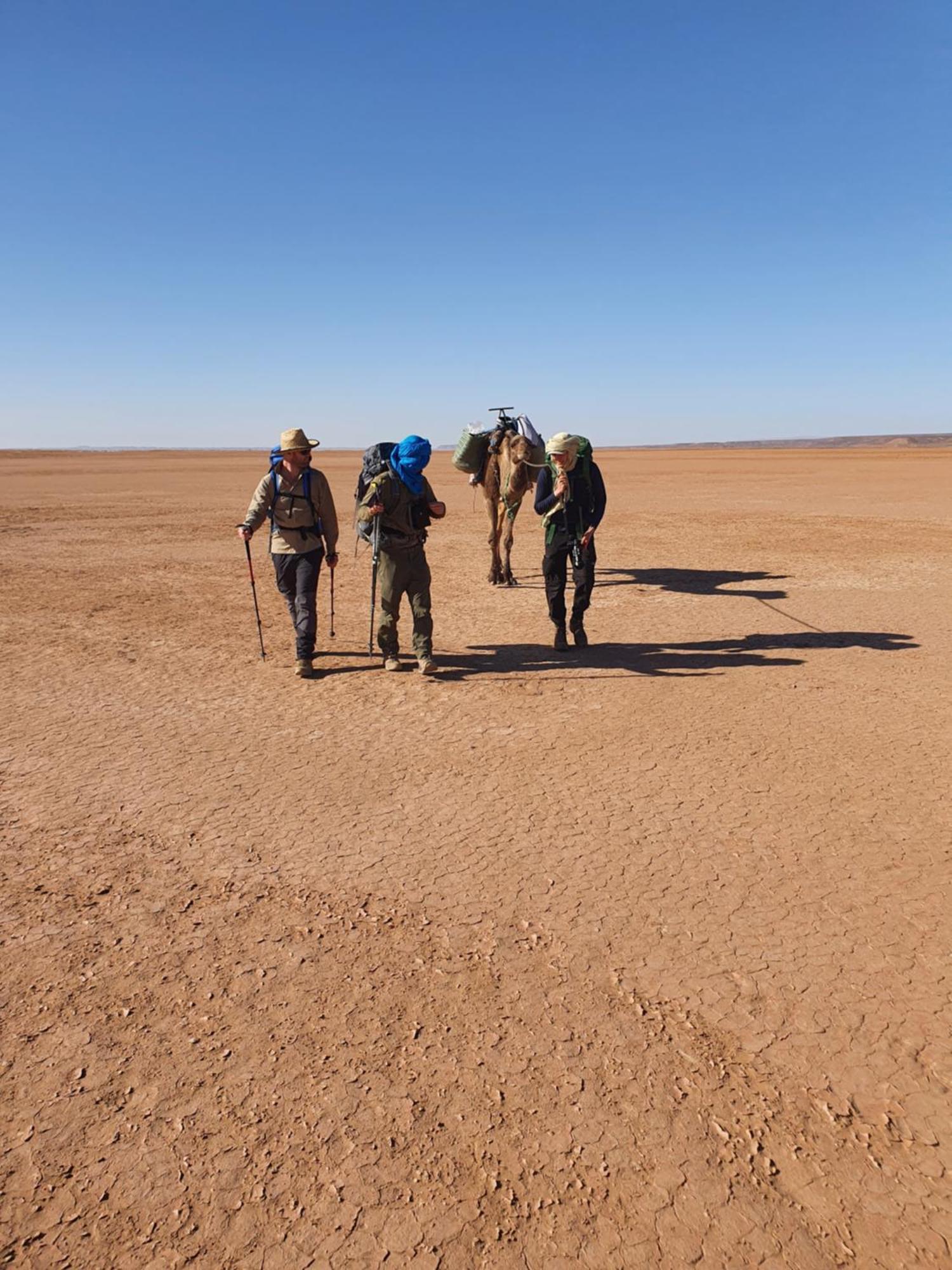 Отель Bivouac Les Nomades & Foum Zguid To Chegaga Tours Экстерьер фото