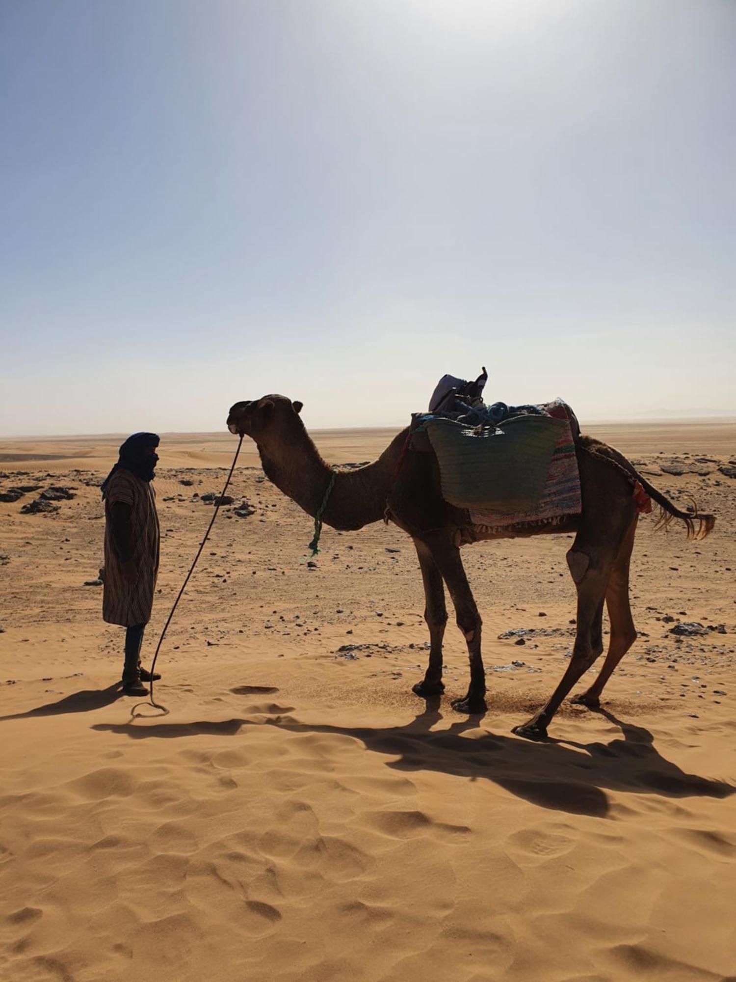 Отель Bivouac Les Nomades & Foum Zguid To Chegaga Tours Экстерьер фото