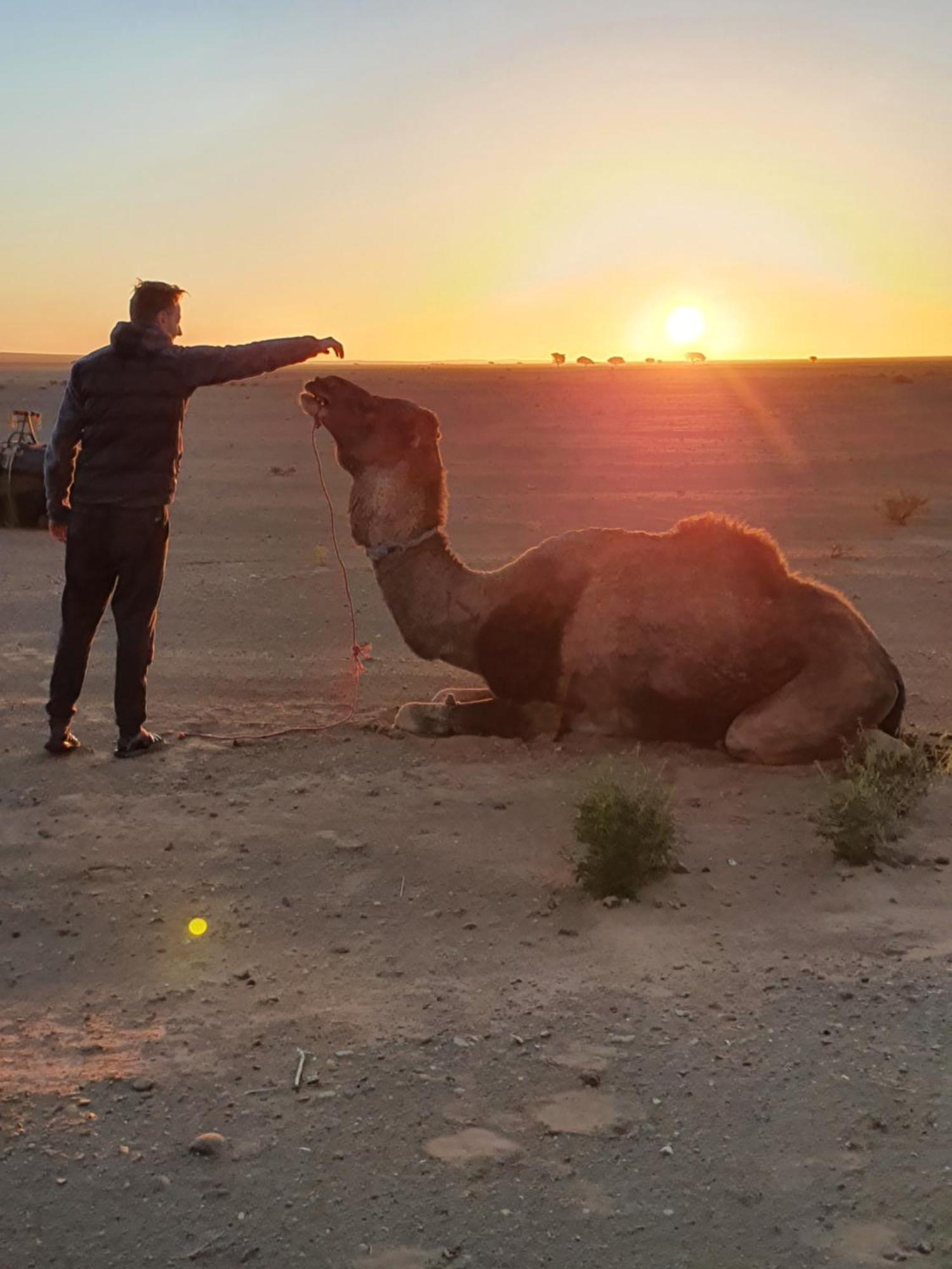Отель Bivouac Les Nomades & Foum Zguid To Chegaga Tours Экстерьер фото