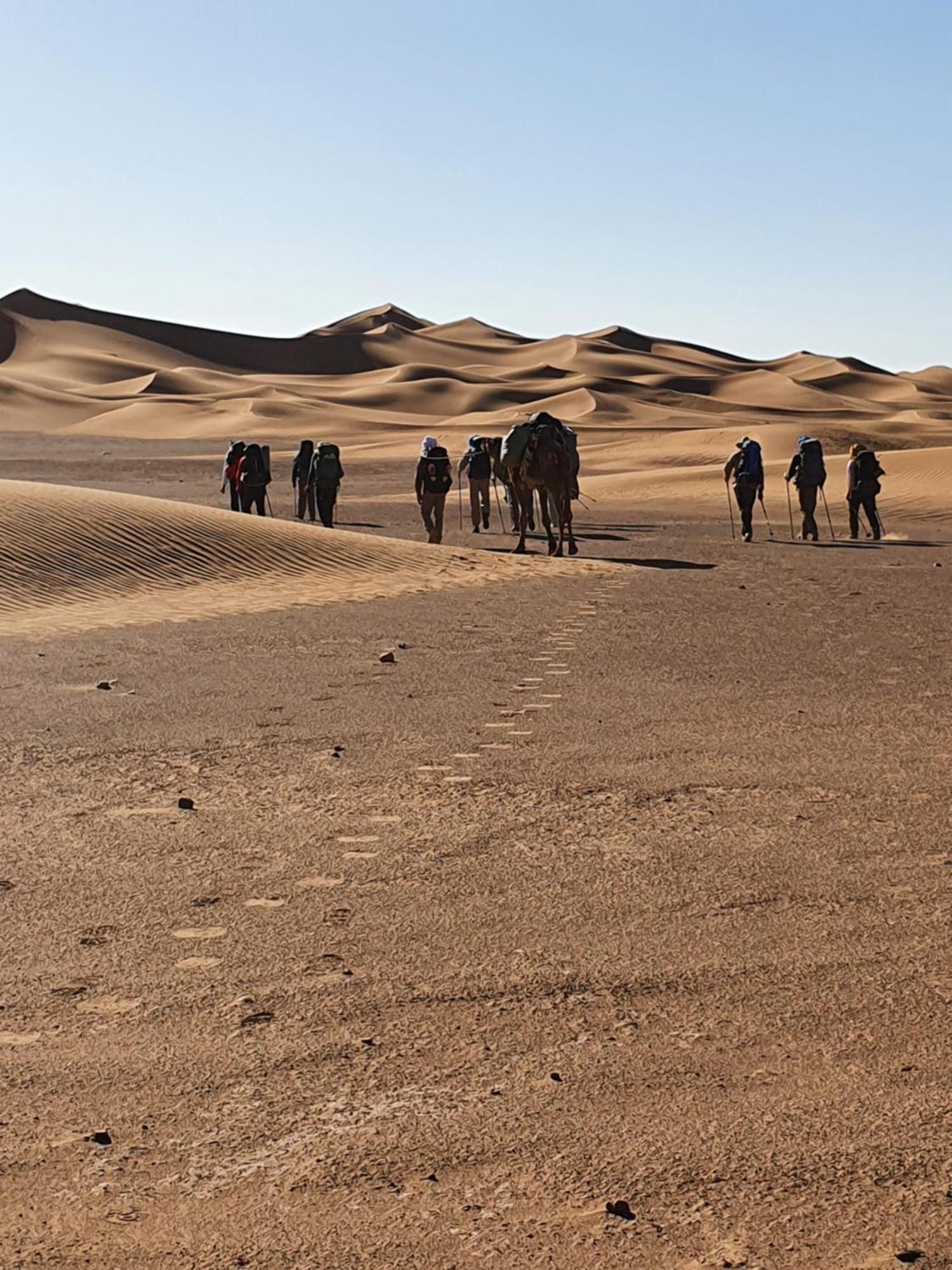 Отель Bivouac Les Nomades & Foum Zguid To Chegaga Tours Экстерьер фото